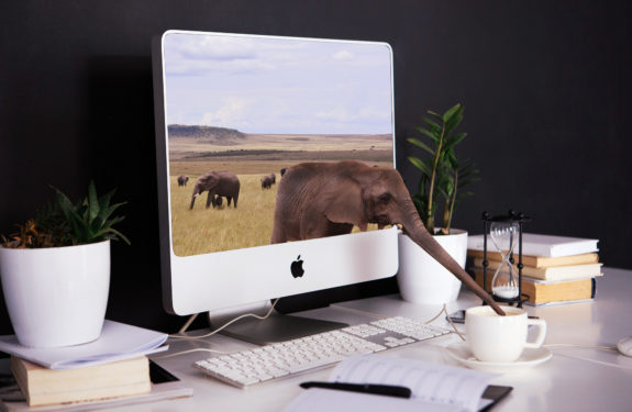 gdzie znaleźć kursy online